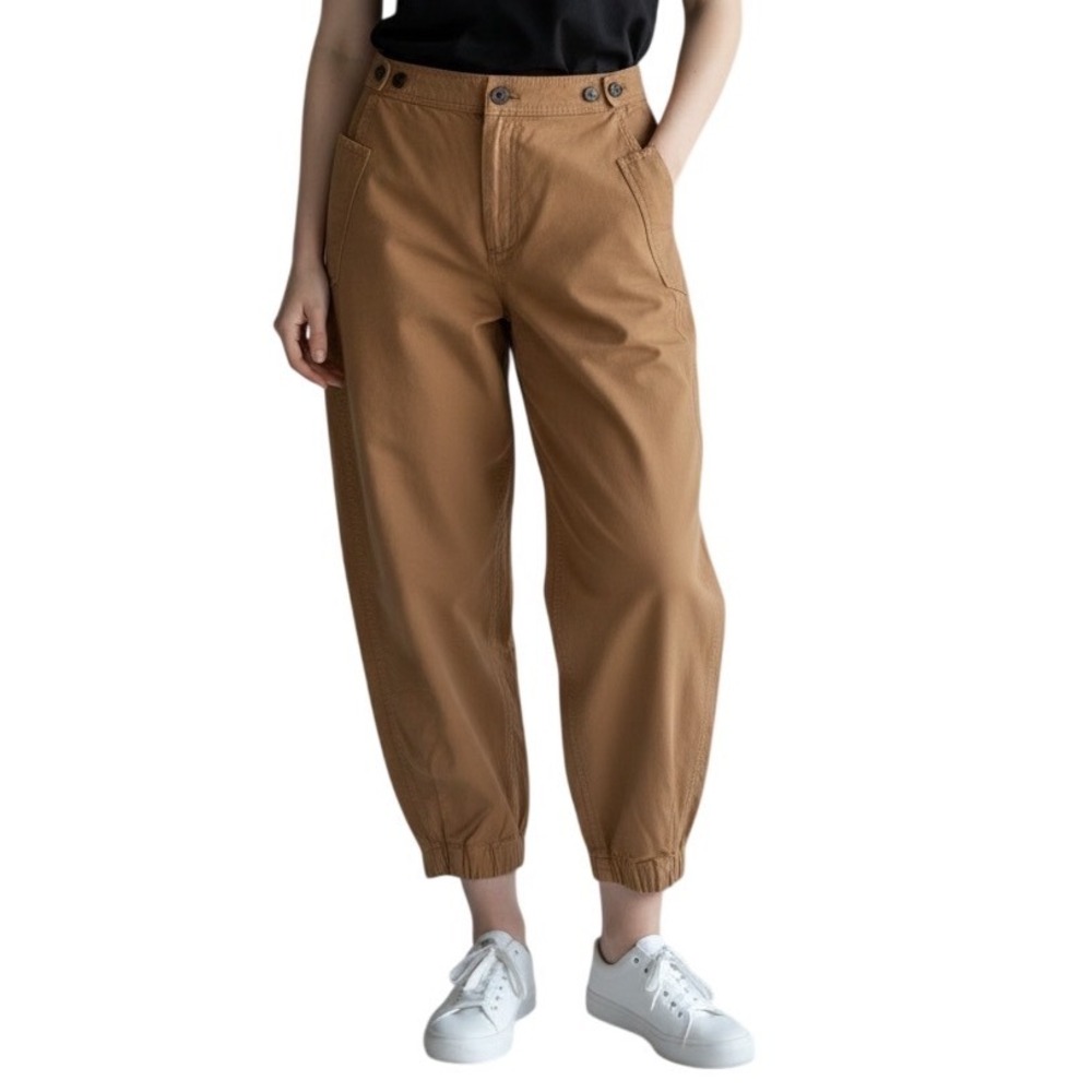 Everlane Barrel Pant